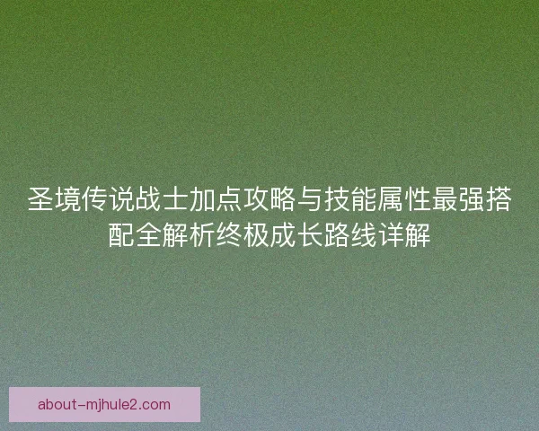 圣境传说战士加点攻略与技能属性最强搭配全解析终极成长路线详解
